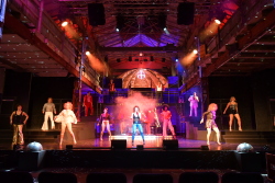 Ensemble Disco-Fieber Volkstheater Rostock