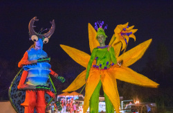 Wald-Kultur-Nacht in Markgrafenheide
