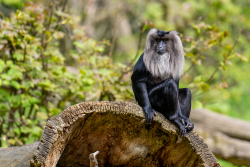 Wanderu im Zoo Rostock 