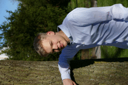 Bild vergrößern