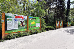 Ausstellung im Zoo Rostock über Naturschutzprojekte der Umweltlotterie BINGO!