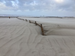 Zugewehter Sandfangzaun am Strand in Warnemünde.